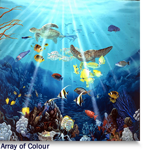 Array of Colour